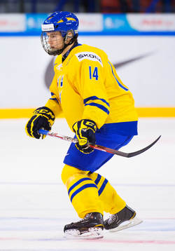 Robert Hägg, Sverige