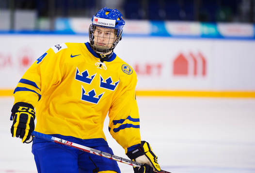 Robert Hägg, Sverige