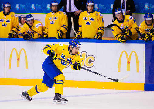 Mikael Vikstrand, Sverige