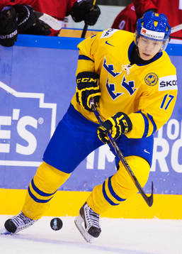 William Karlsson, Sverige