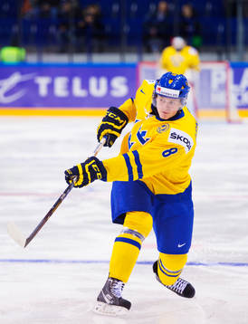 Linus Arnesson, Sverige