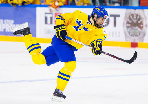 Robert Hägg, Sverige