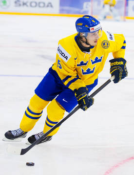 Sebastian Collberg, Sverige