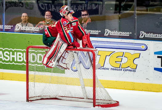 Bläddra bland fler bilder av Ishockey, Elitserien, Frölunda - Rögle