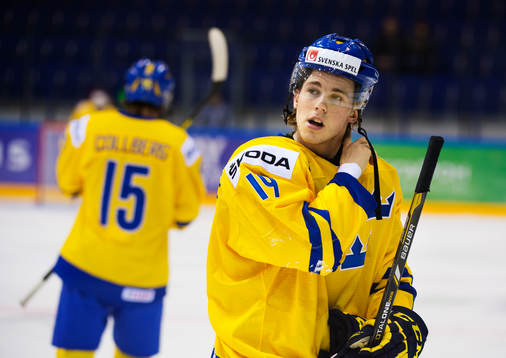 Elias Lindholm, Sverige