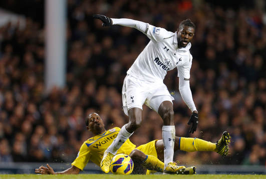 Football - Tottenham Hotspur v Reading - Barclays Premier