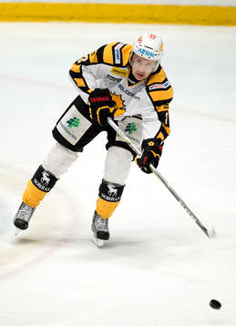 Erik Andersson, Skellefteå