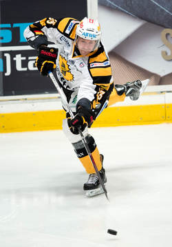 Tomas Skogs, Skellefteå