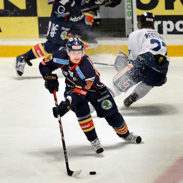 Timmy Pettersson, Djurgården