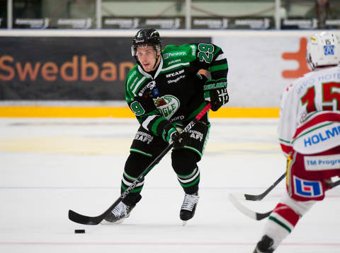 Alexander Barta, Rögle