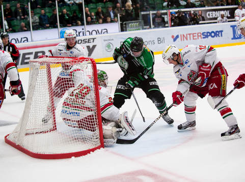 Jesper Jensen, Rögle, Bernhard Starkbaum, målvakt, Modo