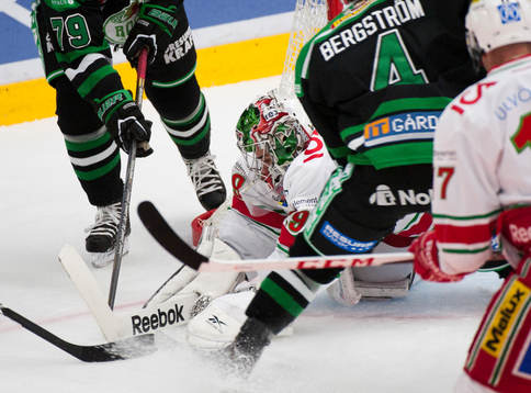 Bernhard Starkbaum, målvakt, Modo