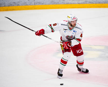 Richie Regehr, Modo