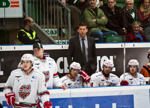 Ulf Samuelsson, tränare, Modo