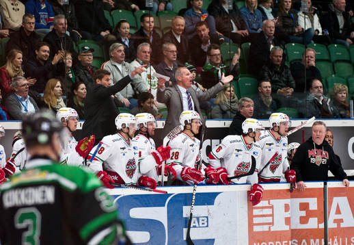 Ulf Samuelsson och Peter Andersson, tränare, Modo
