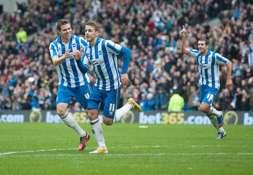 Football - Brighton & Hove Albion v Newcastle United - FA