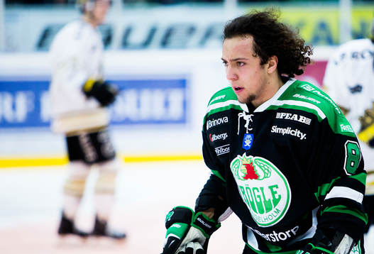 Alexander Lindqvist Hansen, Rögle