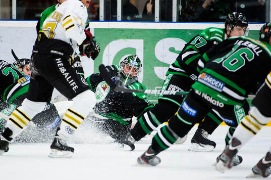 Martin Gerber, målvakt, Rögle