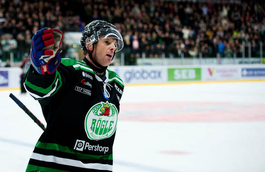 Richard Lintner, Rögle, jublar