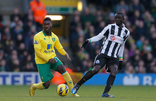 Football - Norwich City v Newcastle United - Barclays