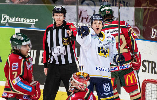 Rhett Rakhshani, HV71, jublar