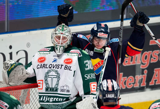 Henrik Eriksson, Djurgården jublar