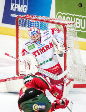 Daniel Bellissimo, målvakt, Timrå