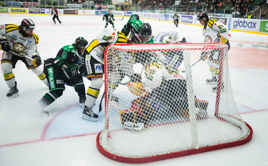 Trångt framför, Johan Holmqvist, målvakt, Brynäs