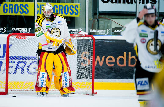 Johan Holmqvist, målvakt, Brynäs, deppar
