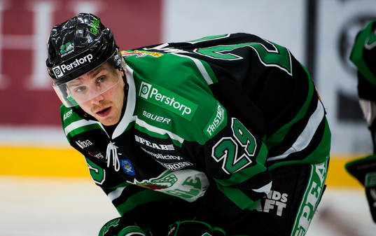 Alexander Barta, Rögle