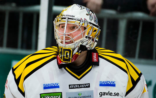 Johan Holmqvist, målvakt, Brynäs