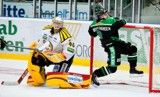Johan Holmqvist, målvakt, Brynäs, Alexander Lindqvist