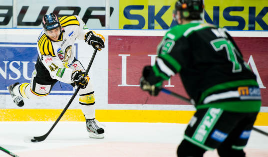 Daniel Widing, Brynäs