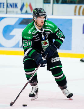 Juhamatti Aaltonen, Rögle