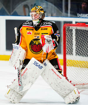 David Rautio, målvakt, Luleå