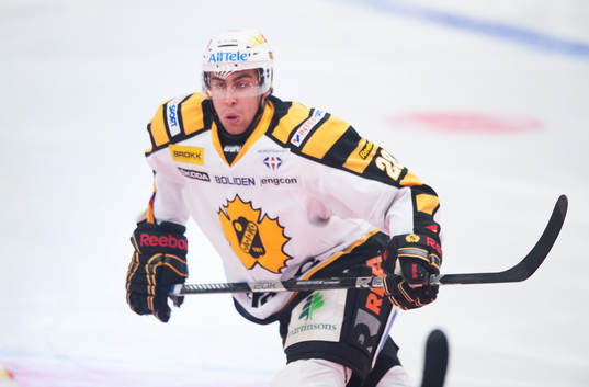 Johan Alm, Skellefteå