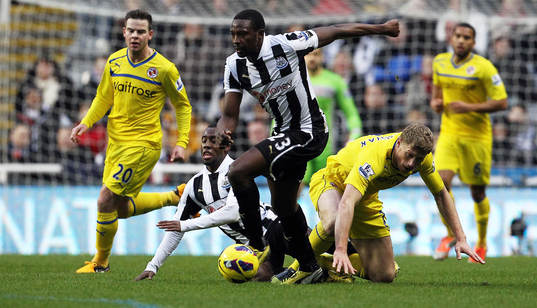 Football - Newcastle United v Reading - Barclays Premier