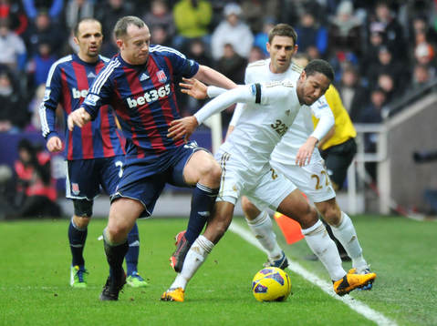 Football - Swansea City v Stoke City - Barclays Premier