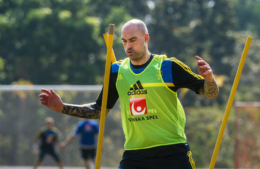 Daniel Majstorovic