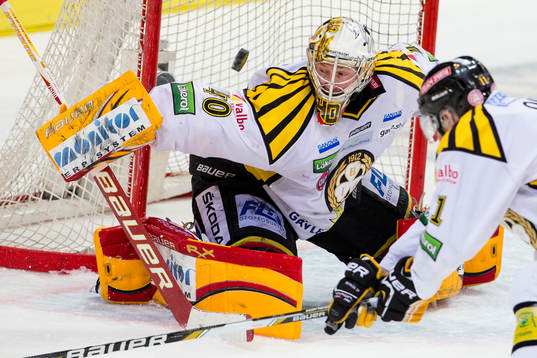 Johan Holmqvist, målvakt, Brynäs