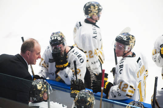 Anders Eldebrink, tränare, AIK