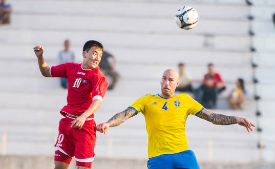 Daniel Majstorovic, Sverige