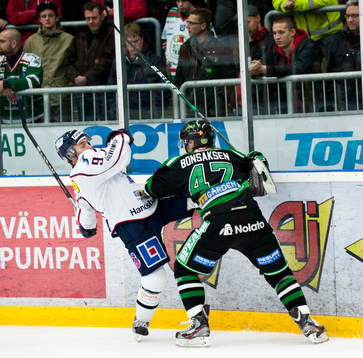 Eric Himelfarb, Linköping, Alexander Bonsaksen, Rögle