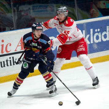 Niclas Edman, Troja och Victor Berglind, Djurgården