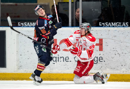 David Åslin, Troja knockar Marcus Sörensen, Djurgården
