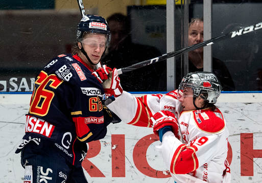 Bläddra bland fler bilder av Ishockey, Allsvenskan, Djurgården - Troja Ljungby
