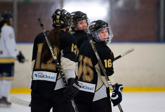 Lisa Johansson, AIK, jublar