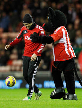 Football - Sunderland v Swansea City - Barclays Premier