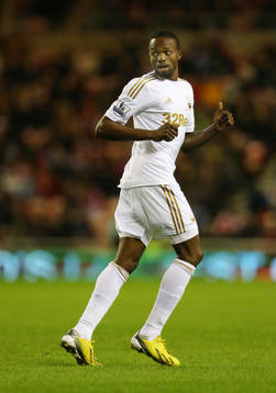 Football - Sunderland v Swansea City - Barclays Premier