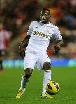 Football - Sunderland v Swansea City - Barclays Premier